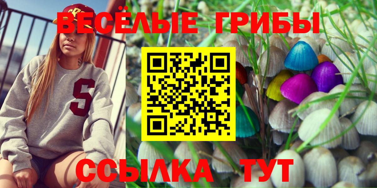 Чусовой  Псилоцибиновые грибы Psilocybe  Вход с VPN  Галлюциногенные грибы Cubensis 